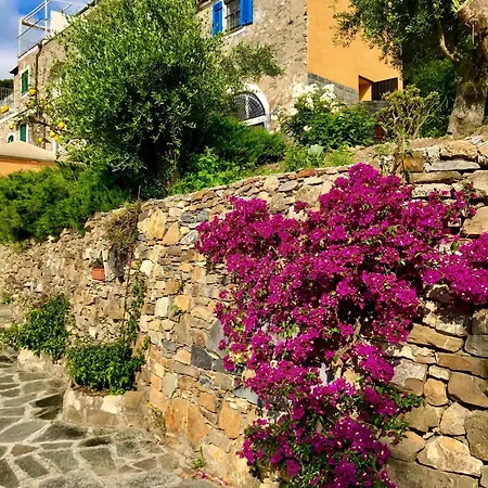 Casa Belvedere Mit Blick Auf Wasser